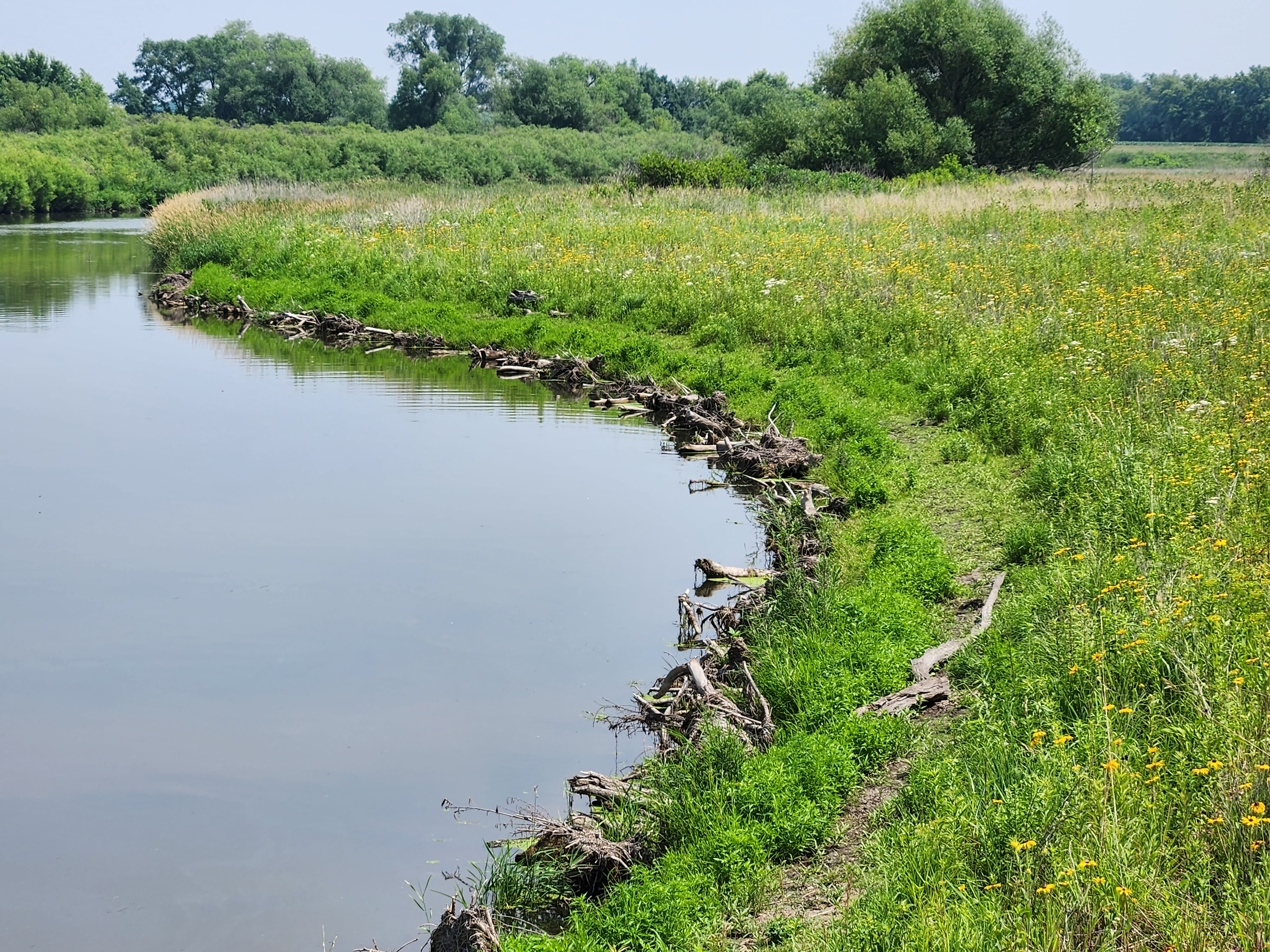 Site of prairie and wetland restoration.